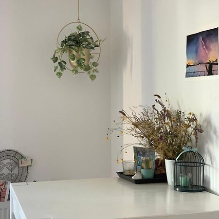 Super Logement Cosy, A Deux Pas Du Tram Nantes Kültér fotó