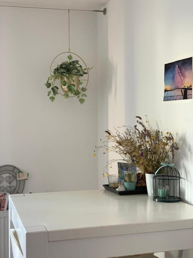 Super Logement Cosy, A Deux Pas Du Tram Nantes Kültér fotó